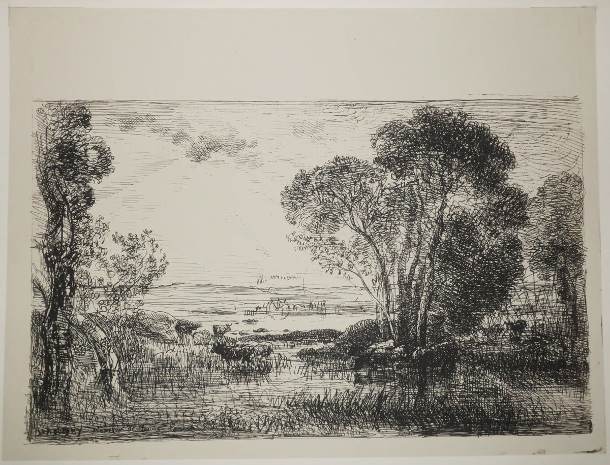 Quarante Clichés-Glace, tirés sur les plaques provenant de la Collection de M. Cuvelier.