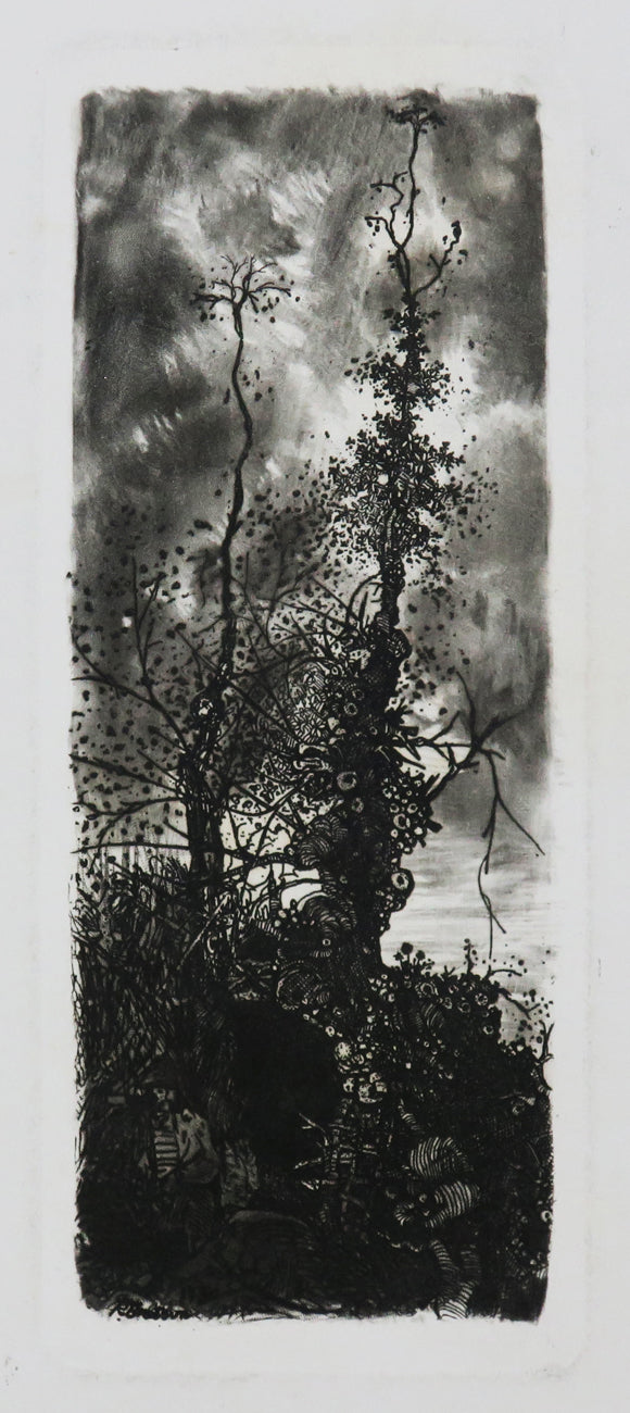 L'Ermite sous les arbres.