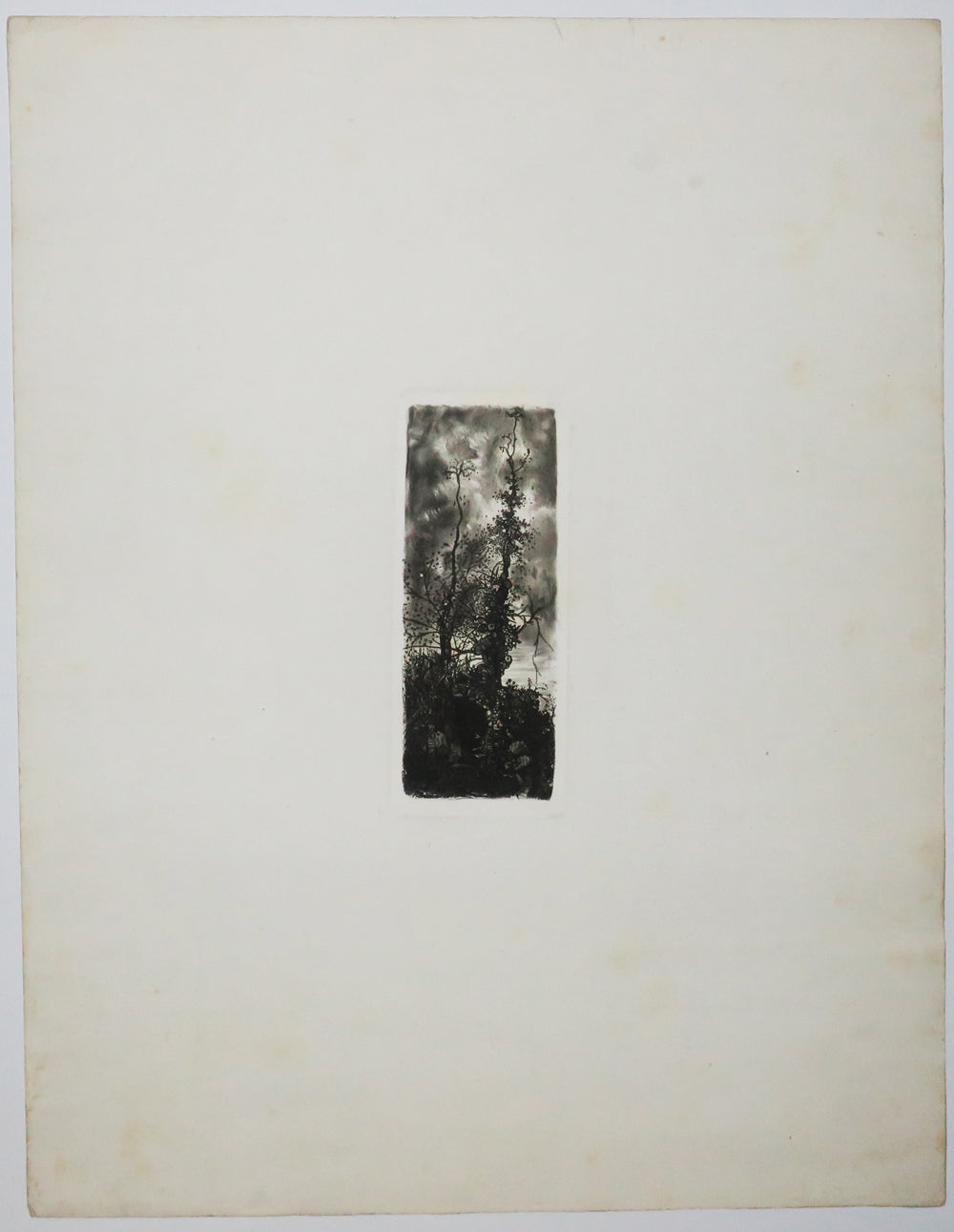 L'Ermite sous les arbres.