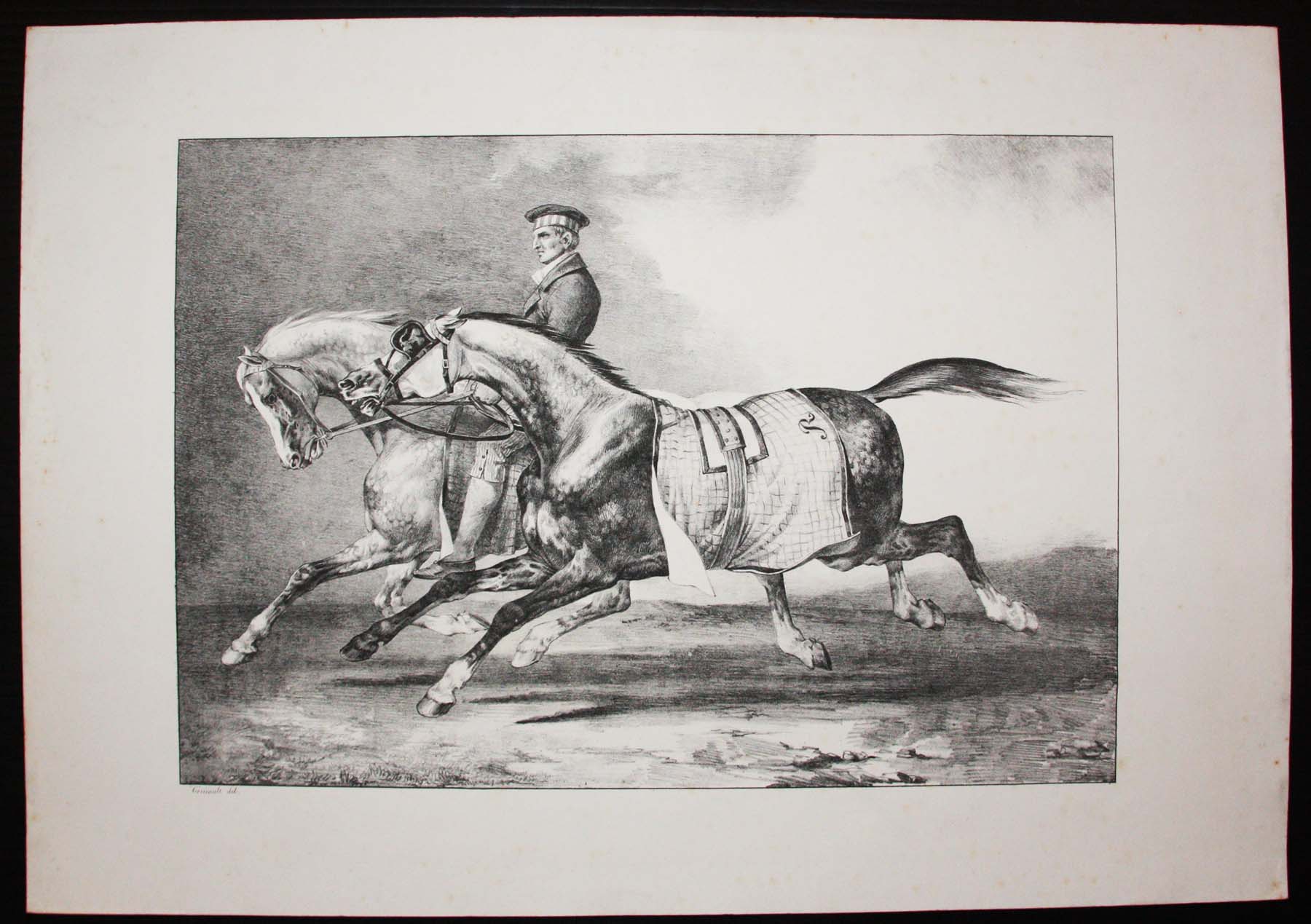 Deux chevaux gris pommelés que l'on promène.