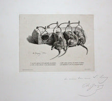 Charger l'image dans la galerie, La souricière.