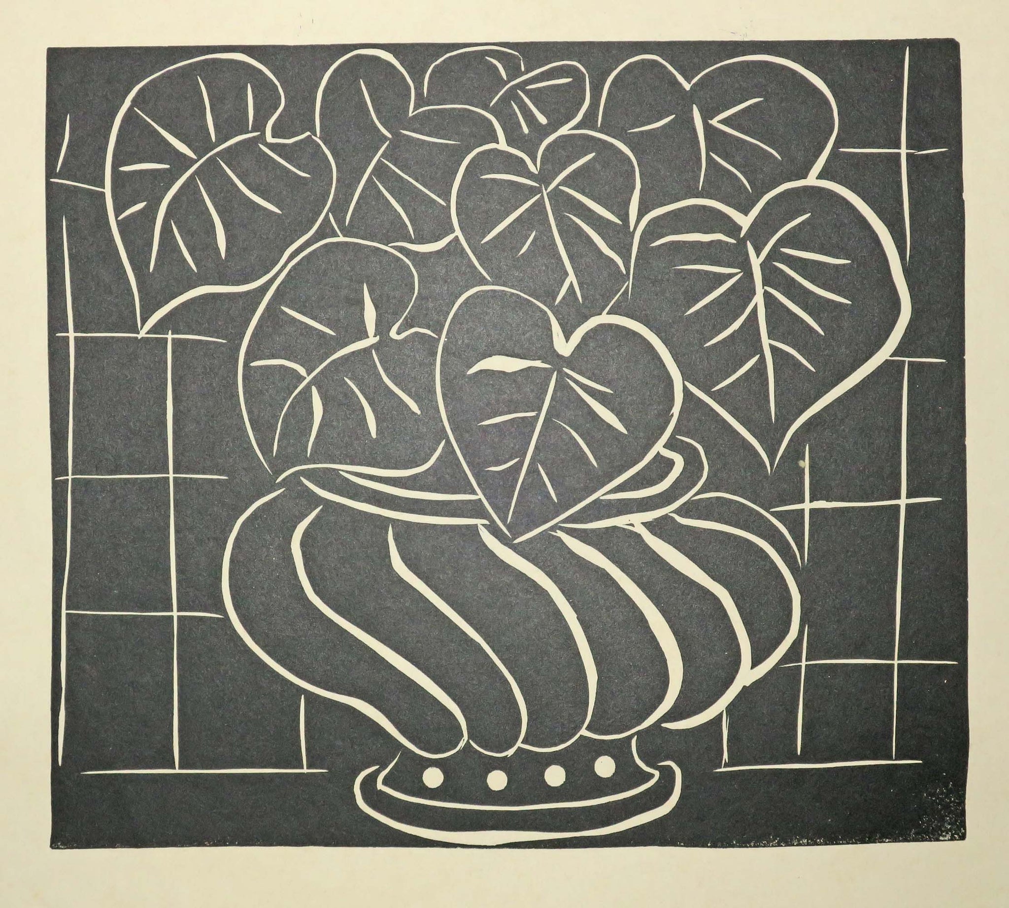 Corbeille de bégonias.