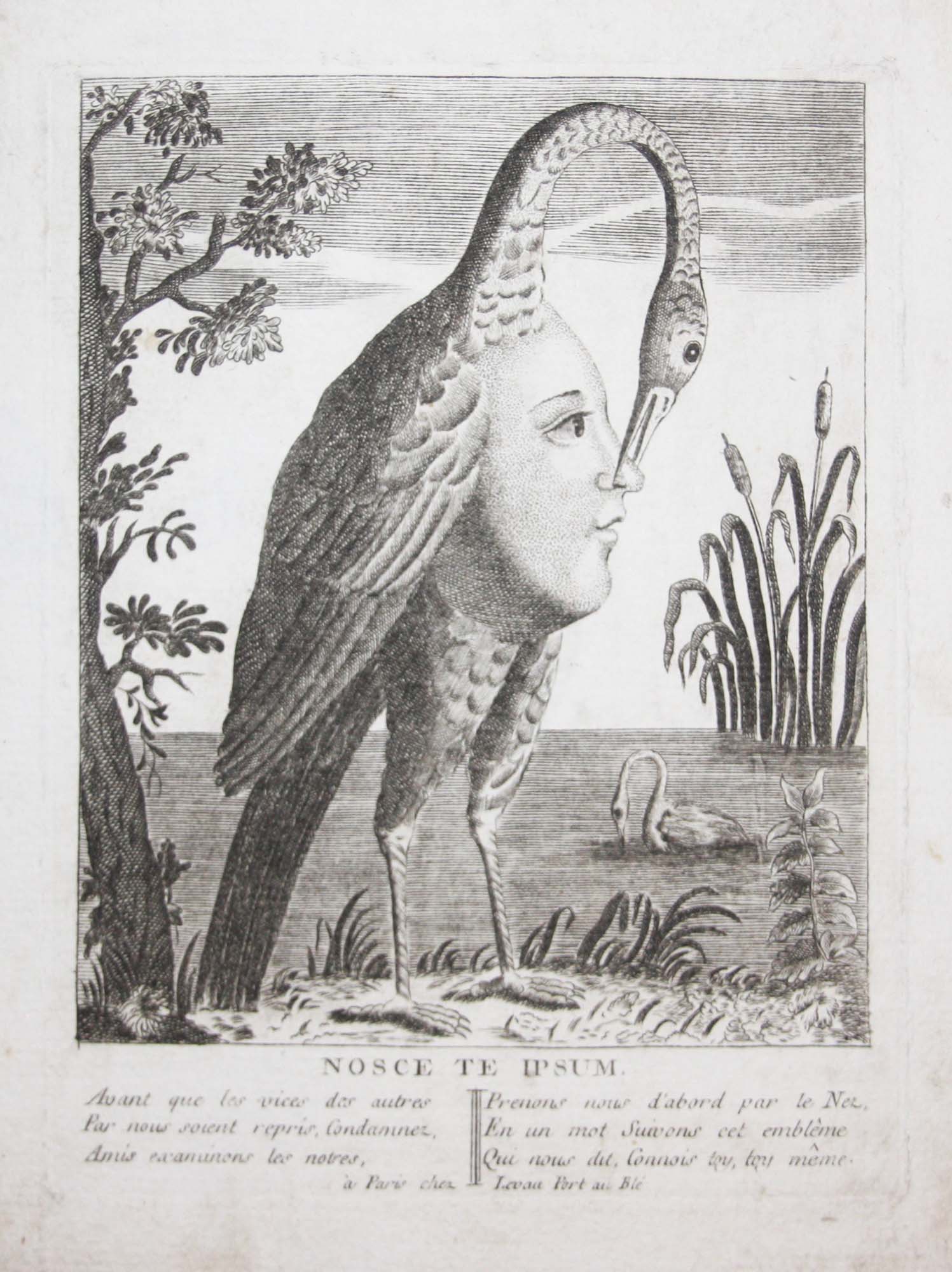 Allégorie, Nosce te ipsum (Connais-toi toi-même).