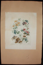 Charger l'image dans la galerie, Planche de "Nouvelle suite de cahiers de fleurs naturelles à l'usage des dessinateurs et des peintres dessinés par Jean Pillement".