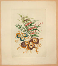Charger l'image dans la galerie, Planche de "Nouvelle suite de cahiers de fleurs idéales à l'usage des dessinateurs et des peintres, inventés et dessinés par Jean Pillement, gravés par Anne Allen, N°4". Planche de
