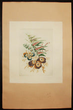 Charger l'image dans la galerie, Planche de "Nouvelle suite de cahiers de fleurs idéales à l'usage des dessinateurs et des peintres, inventés et dessinés par Jean Pillement, gravés par Anne Allen, N°4". Planche de