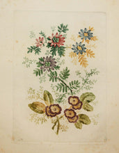 Charger l'image dans la galerie, Planche de "Nouvelle suite de cahiers de fleurs idéales à l'usage des dessinateurs et des peintres, inventés et dessinés par Jean Pillement, gravés par Anne Allen, N°4". Planche de