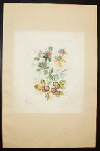 Charger l'image dans la galerie, Planche de "Nouvelle suite de cahiers de fleurs idéales à l'usage des dessinateurs et des peintres, inventés et dessinés par Jean Pillement, gravés par Anne Allen, N°4". Planche de
