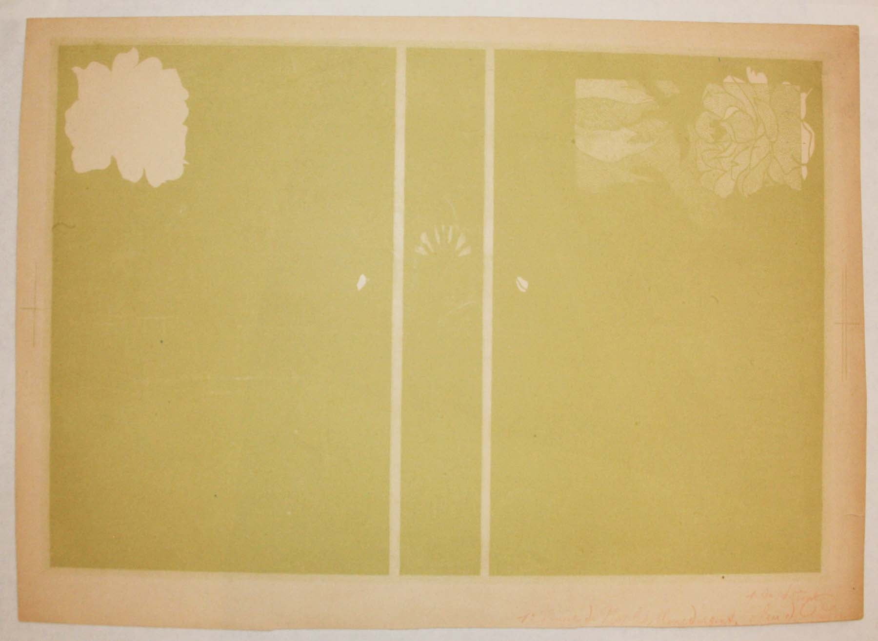 Composition florale. Couverture illustrée pour