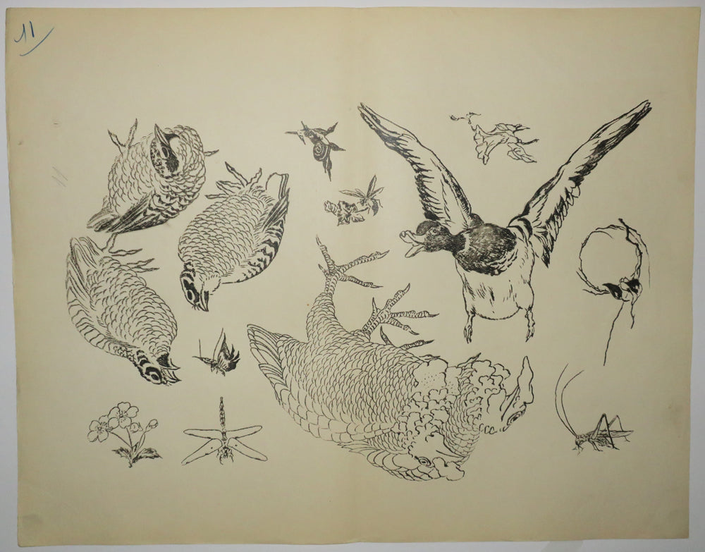 Canard aux ailes étendues, cailles, etc… Motifs pour le décor d’un service de table en faïence de la maison Rousseau.