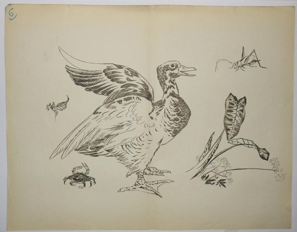 Un grand canard. Motifs pour le décor d’un service de table en faïence de la maison Rousseau.