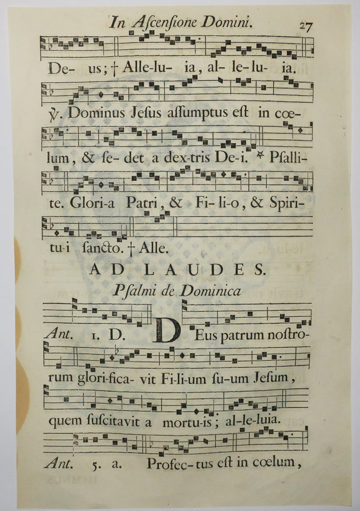 Kapitipède sur antiphonaire XVIII.
