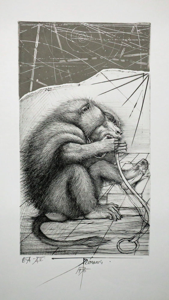 Le singe.