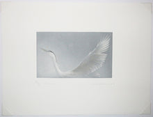 Charger l'image dans la galerie, Héron I.