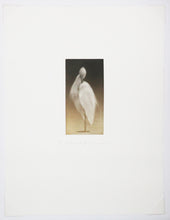 Charger l'image dans la galerie, Feathered light IV.