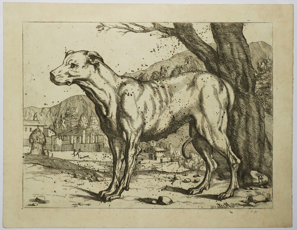 Un chien debout dans un paysage.