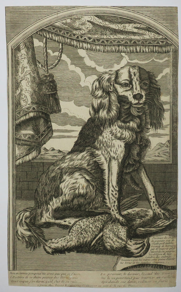 Portrait du chien de gunnar Roy de Suède qu'il établie Viceroy de Norvège par le mépris qu'il faisait de ses peuples, les obligea de lui rendre des mêmes honneurs qu'à lui-même sous peine d'avoir les bras et les jambes coupées.