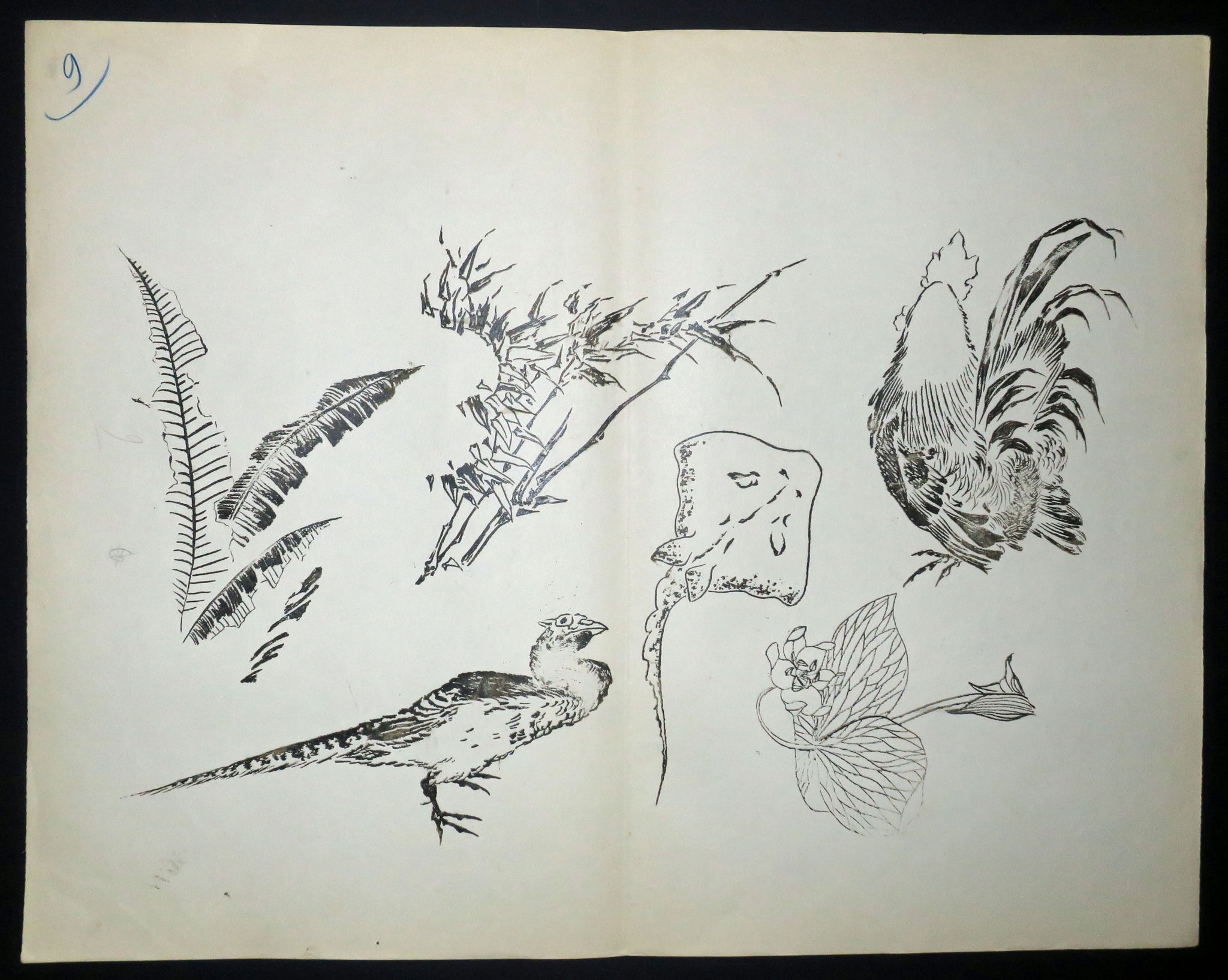 Coqs, raie, plantes, etc. Motifs pour le décor d’un service de table en faïence de la maison Rousseau.
