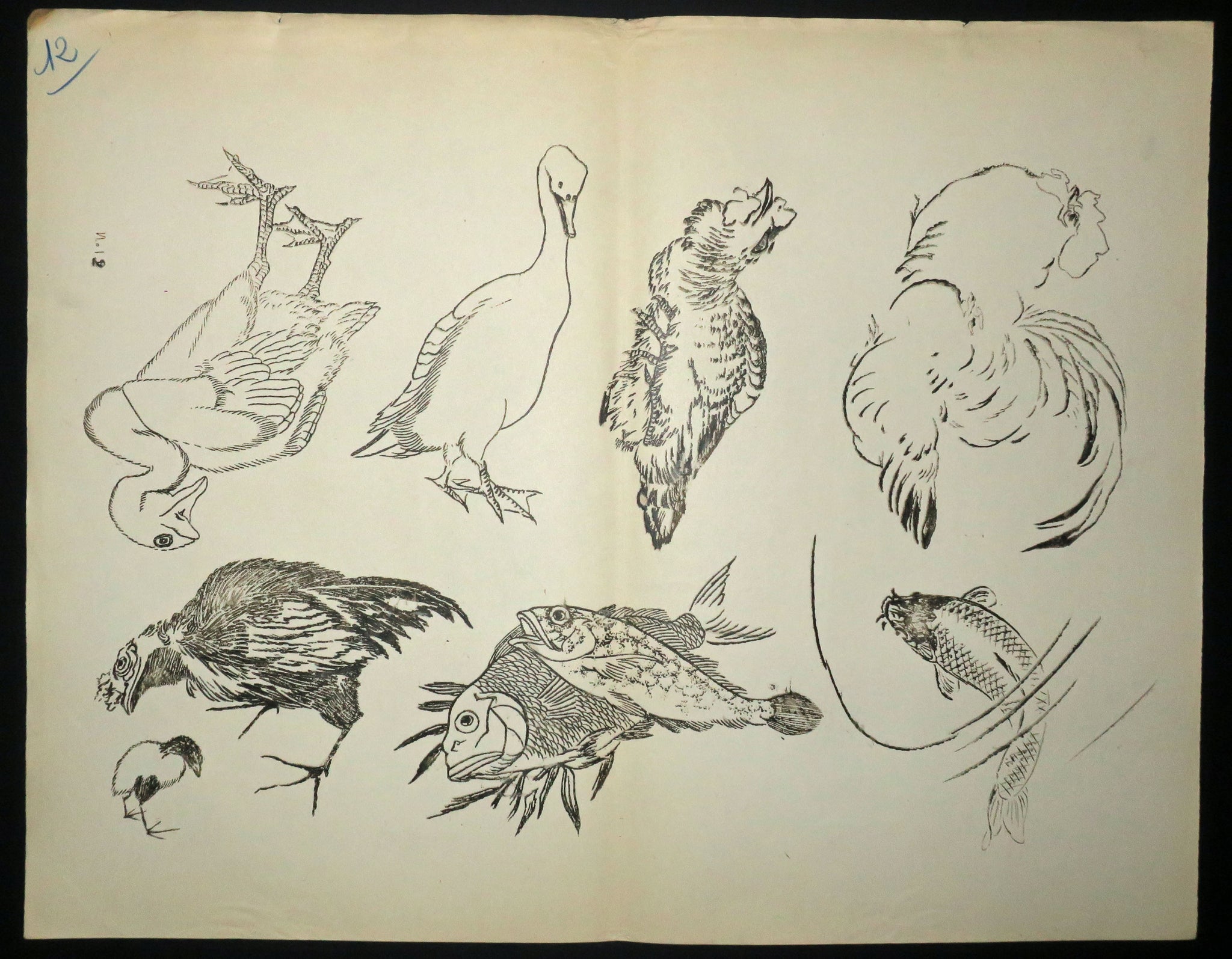 Canards, poissons, etc. Motifs pour le décor d’un service de table en faïence de la maison Rousseau.