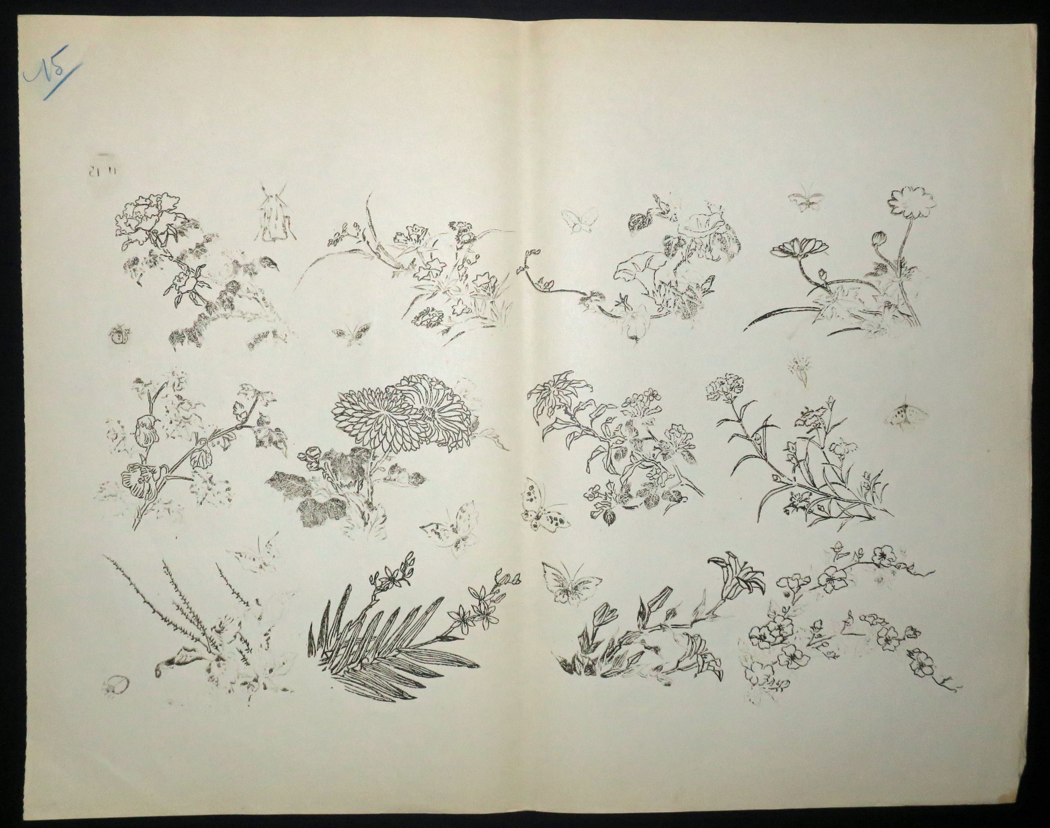 Fleurs et insectes. Motifs pour le décor d’un service de table en faïence de la maison Rousseau.