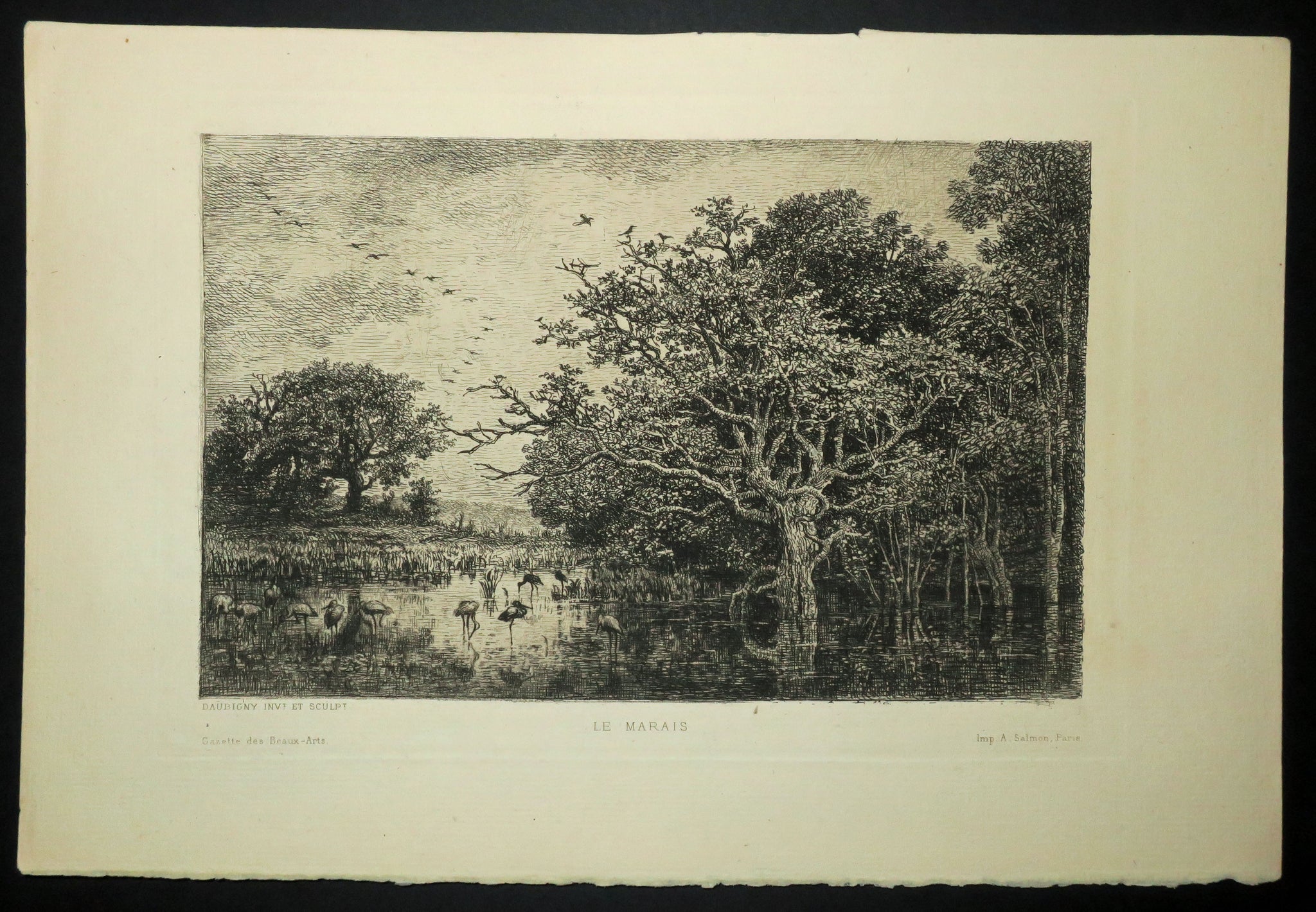 Le Marais (aux cigognes).