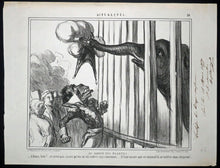 Charger l'image dans la galerie, Au Jardin des Plantes.