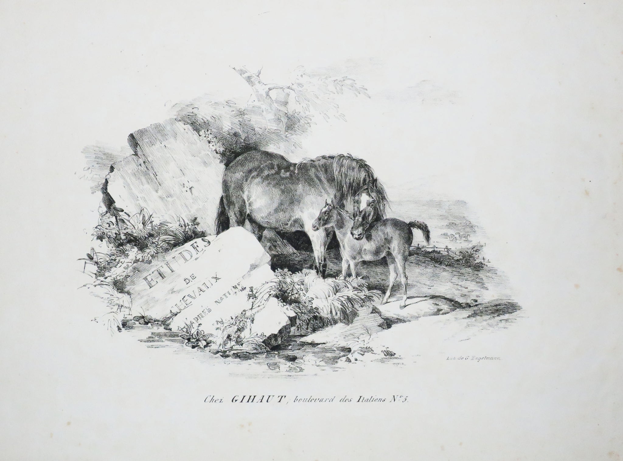 La jument et son poulain. Frontispice pour