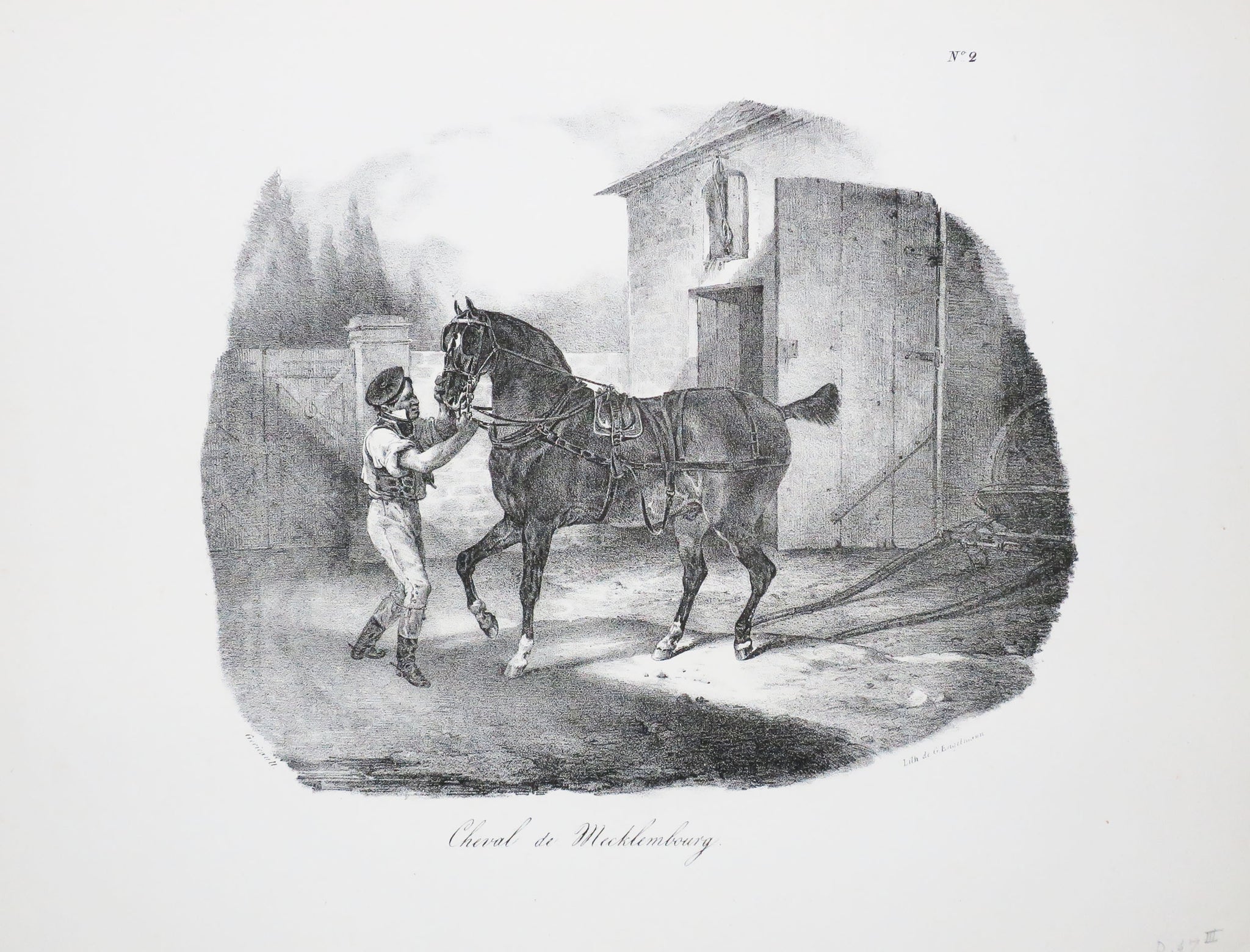 Cheval de Mecklembourg.