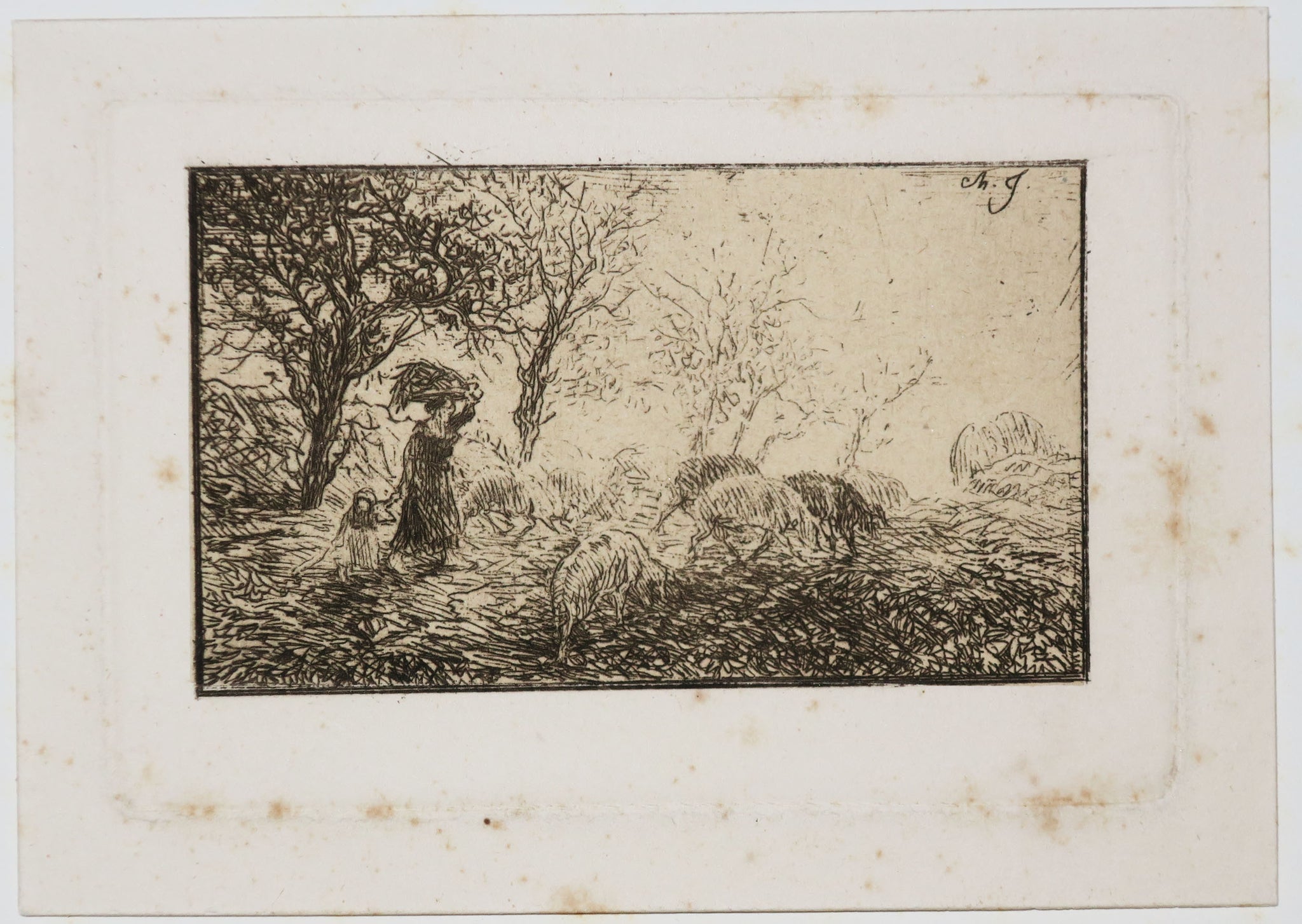 Paysage et animaux.
