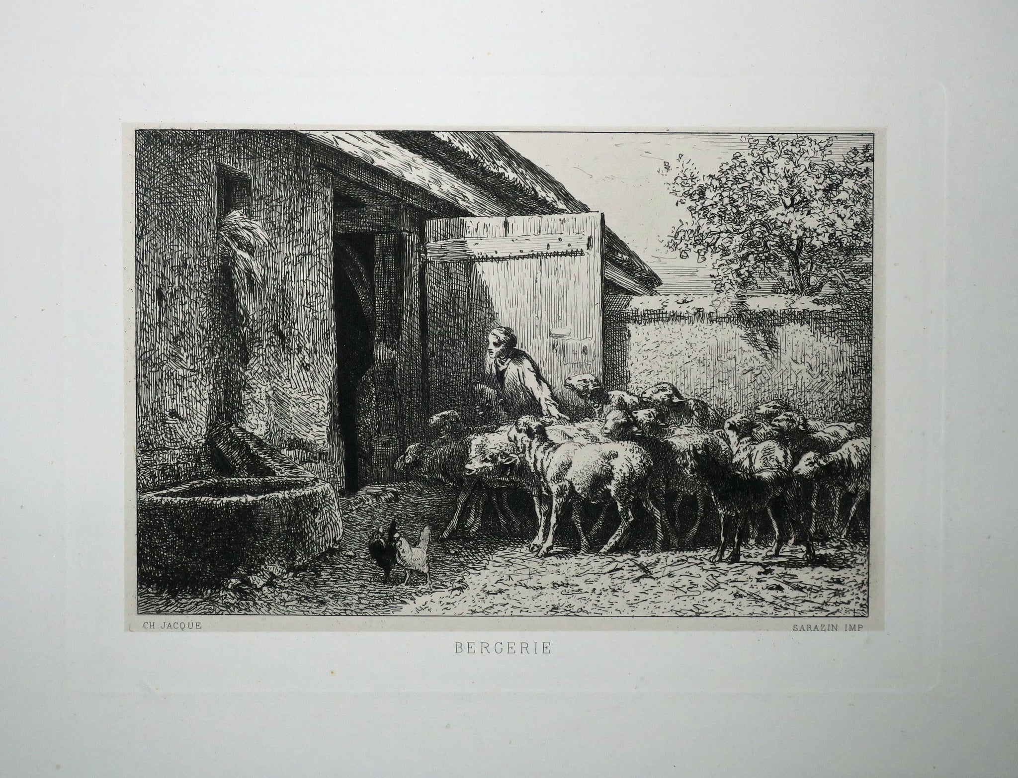 Bergerie.