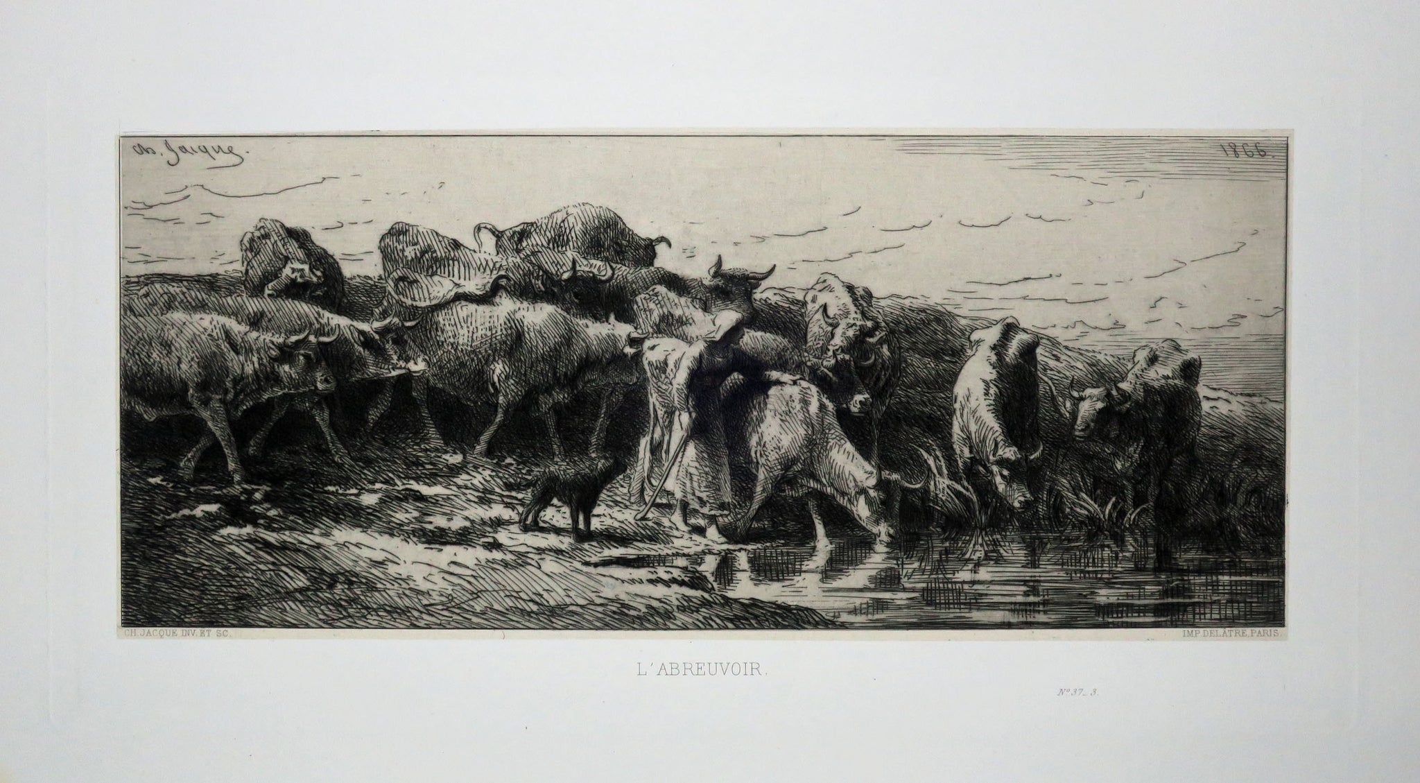 L'abreuvoir.