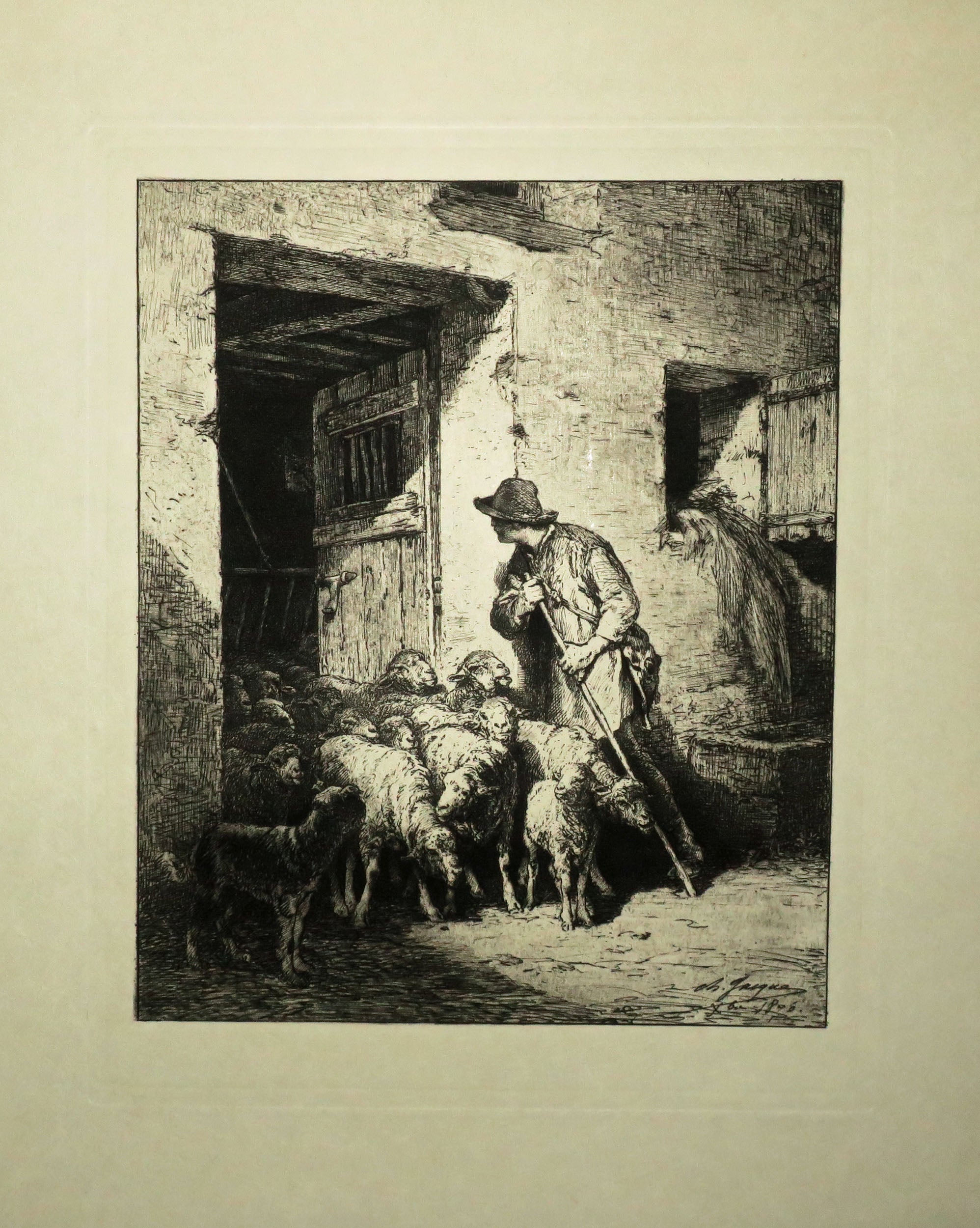 La sortie du troupeau de moutons.