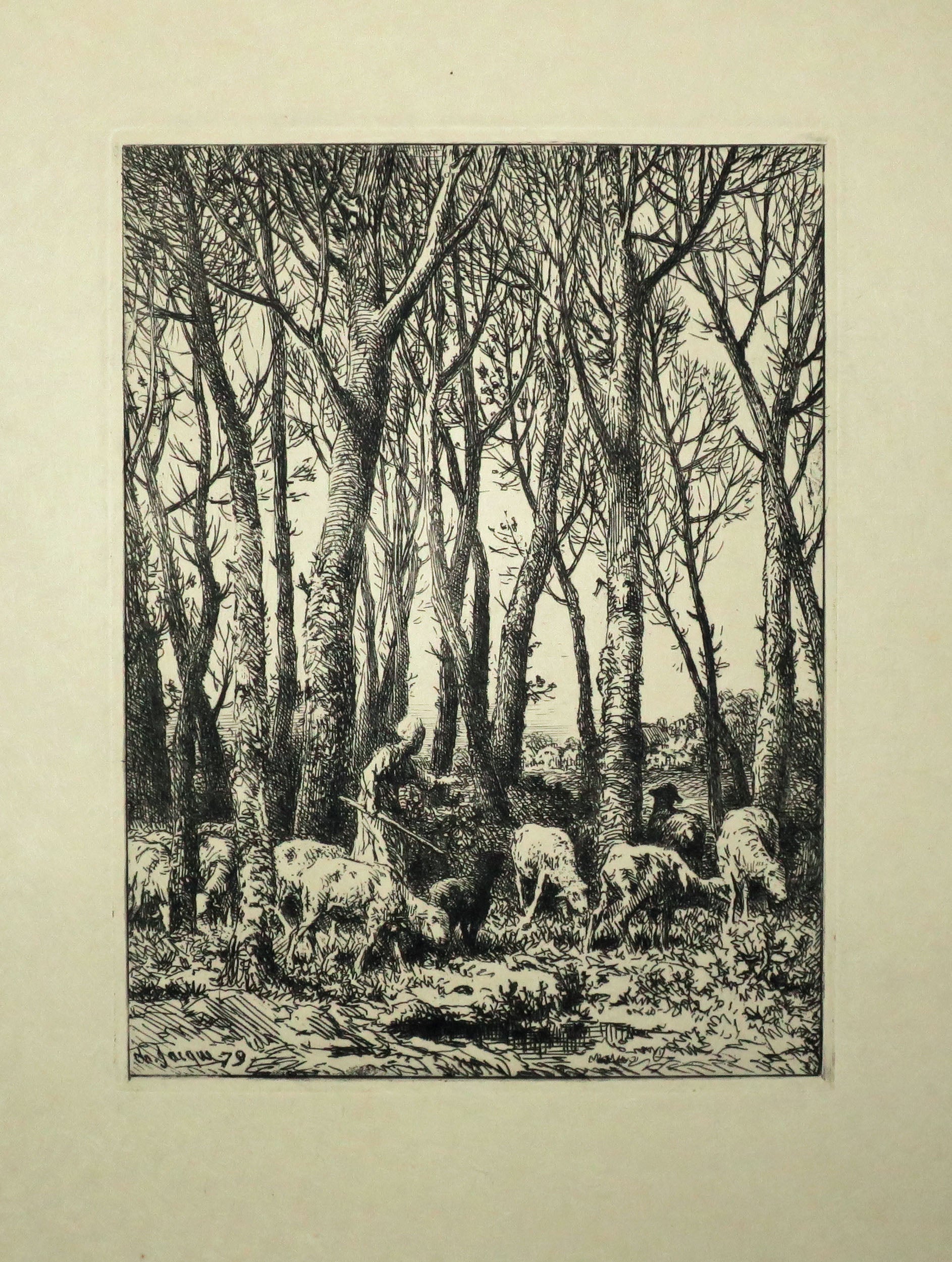 Dans le bois.