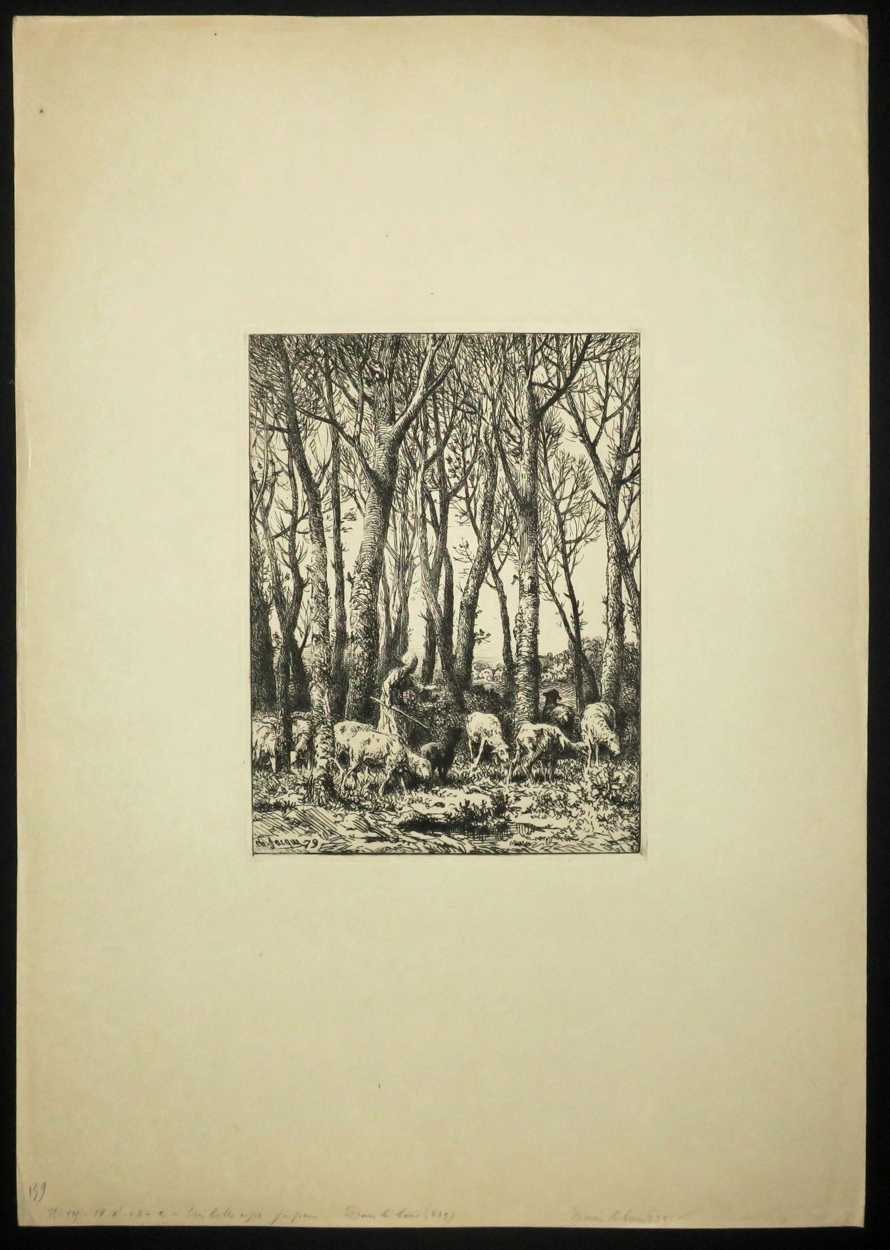 Dans le bois.