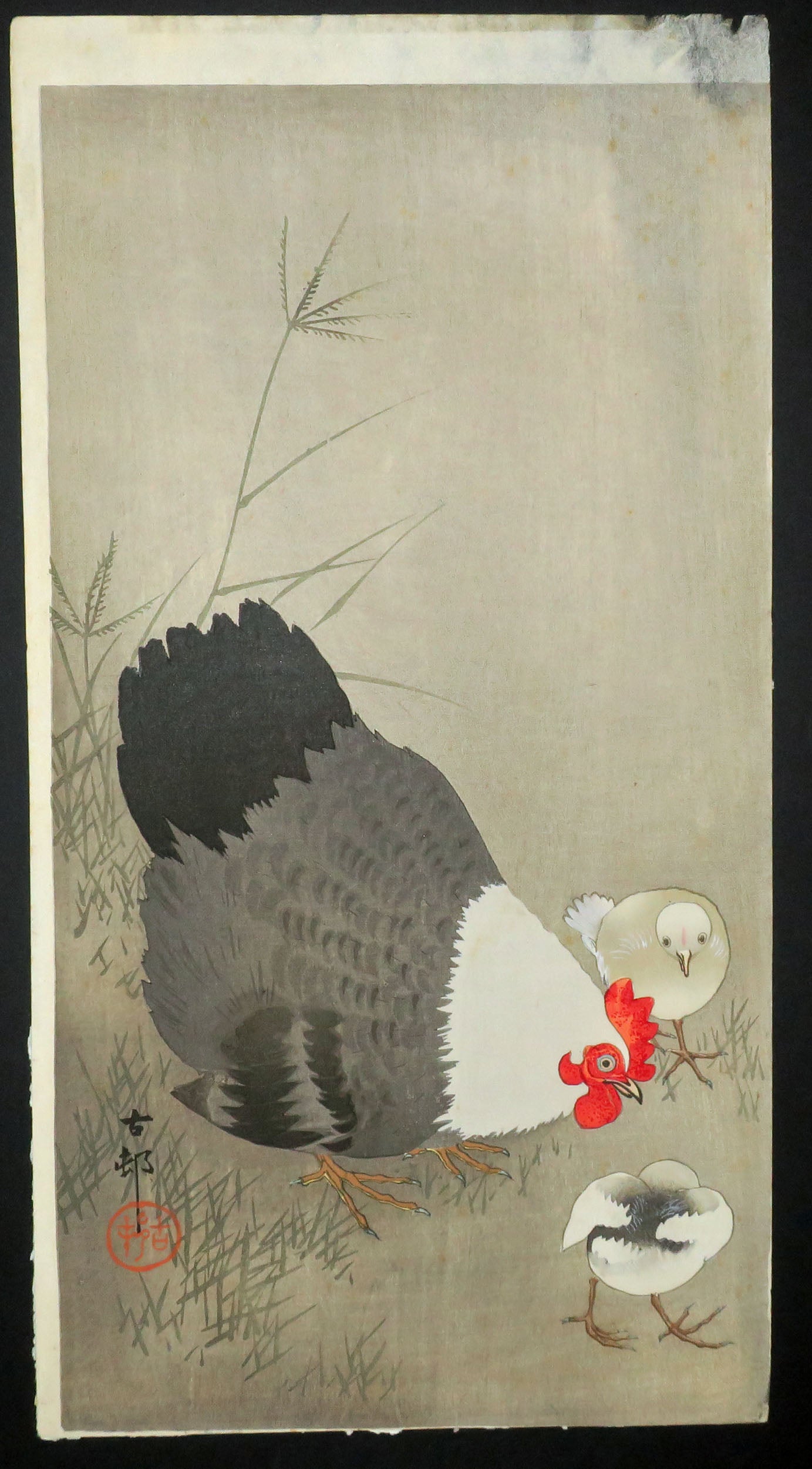 Poule et deux poussins dans l'herbe.