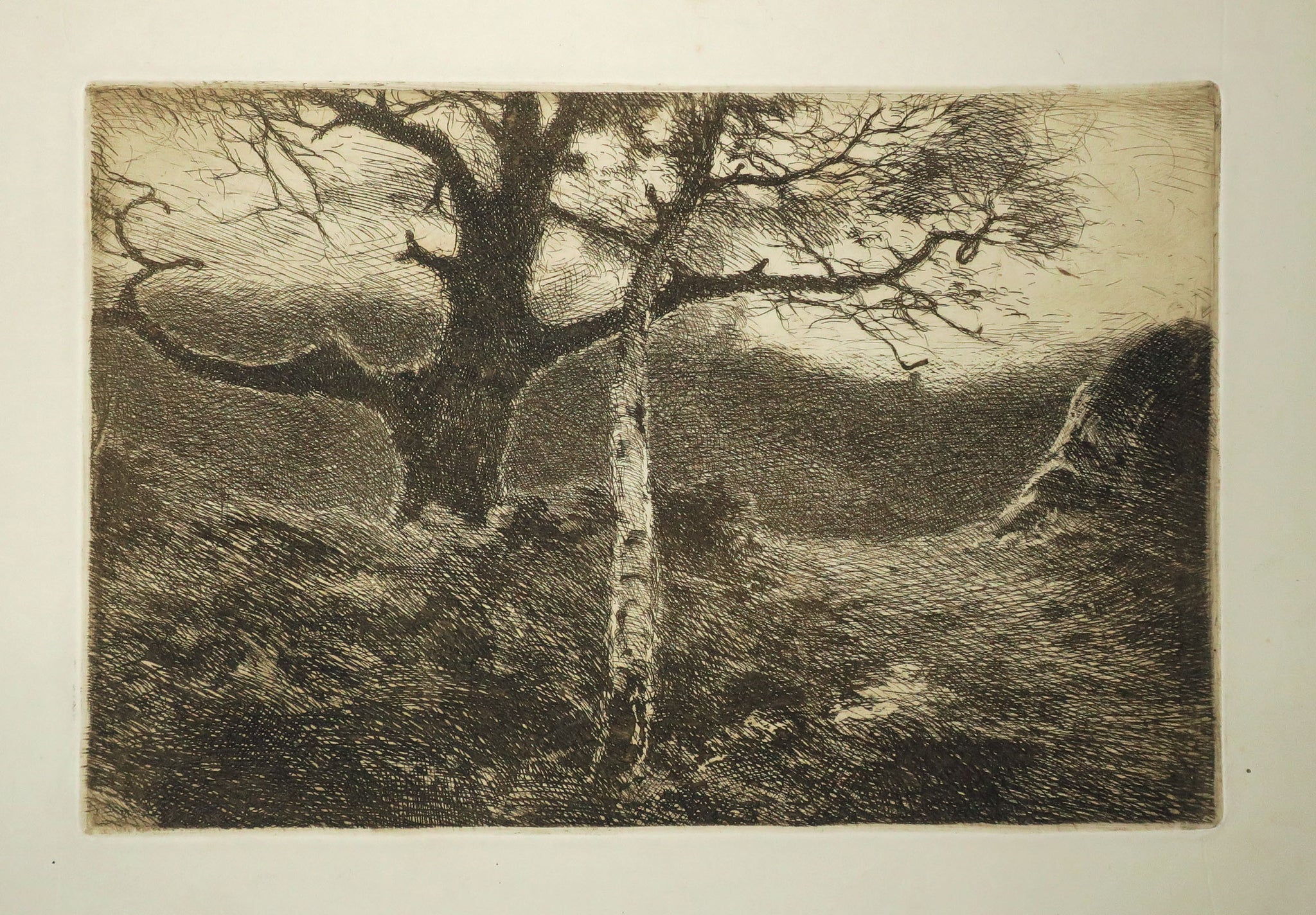 Le châtaignier, ou L'Heure des crapauds.