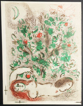 Charger l'image dans la galerie, Paradis.