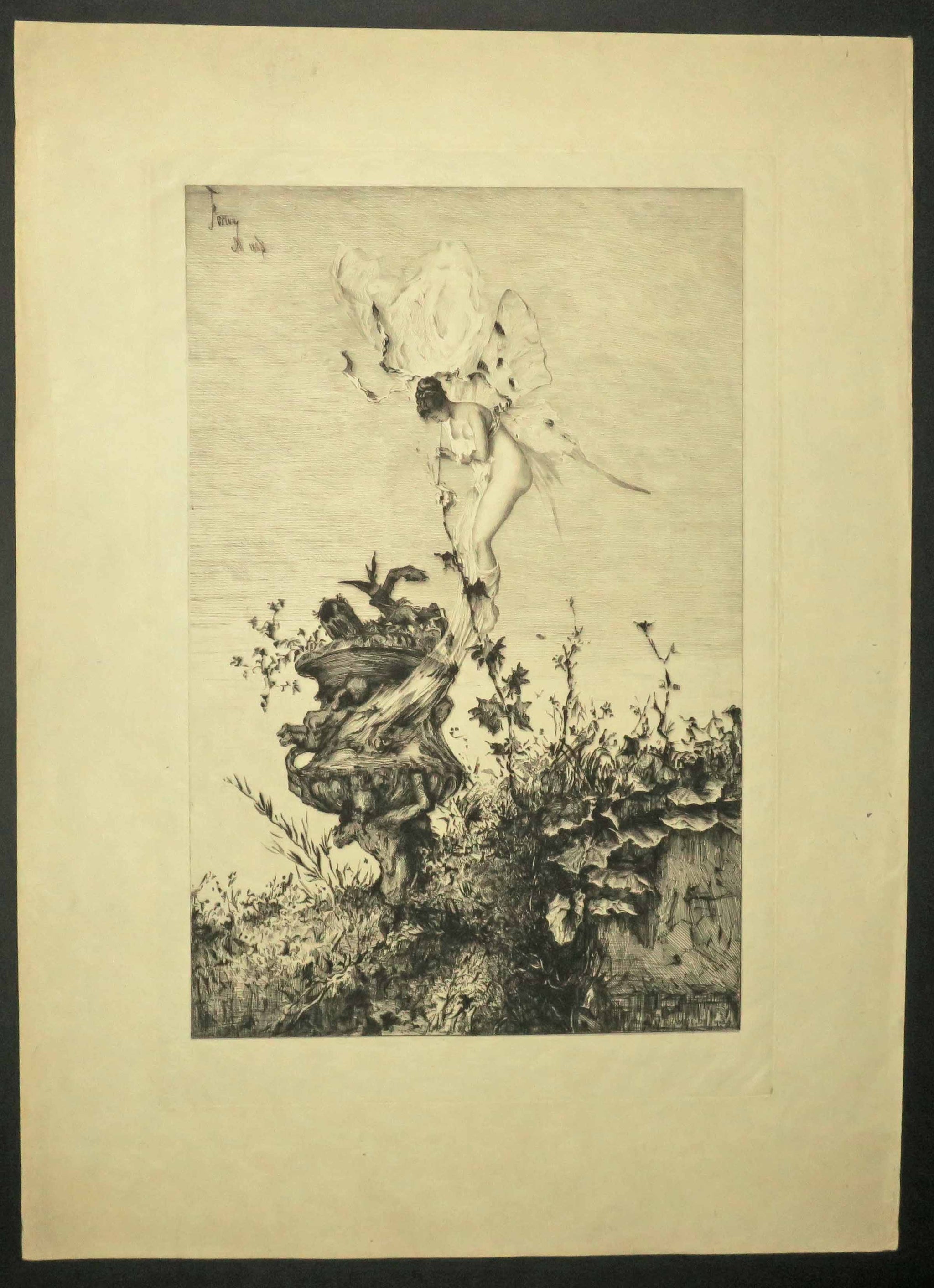 Le papillon.