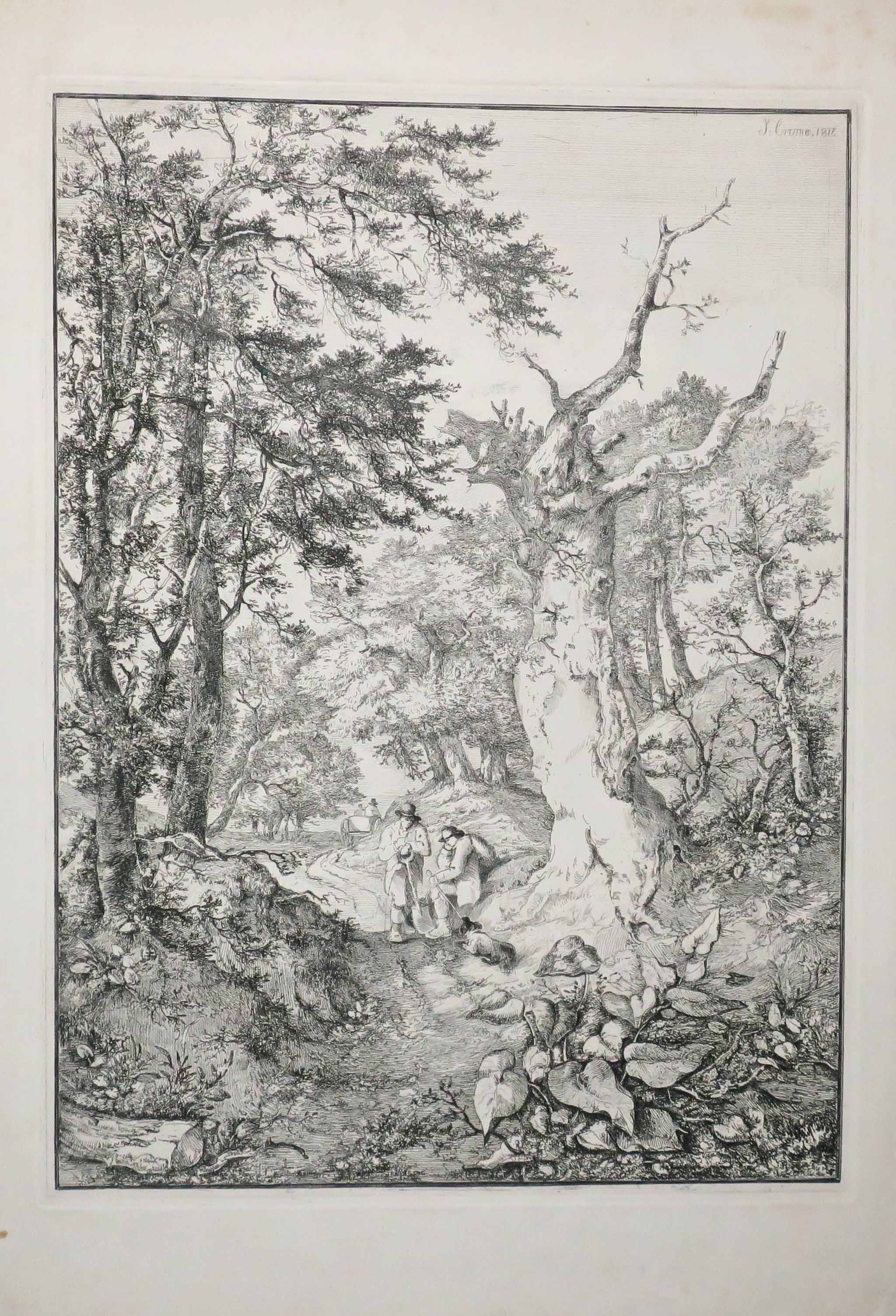 Composition, Route sablonneuse à travers les bois. (Sandy road through woodland).
