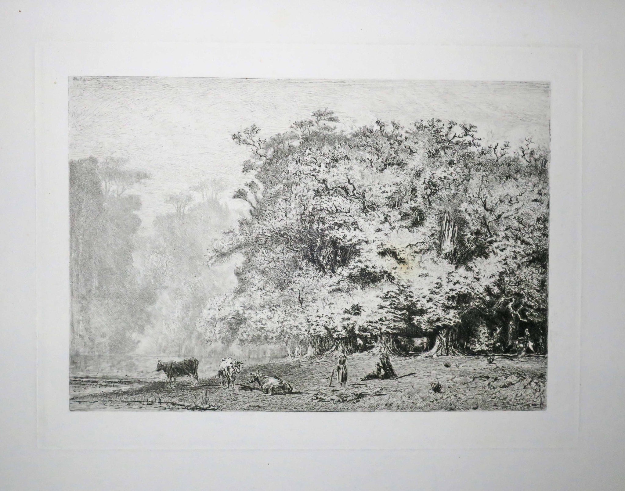 Près de Fontainebleau.