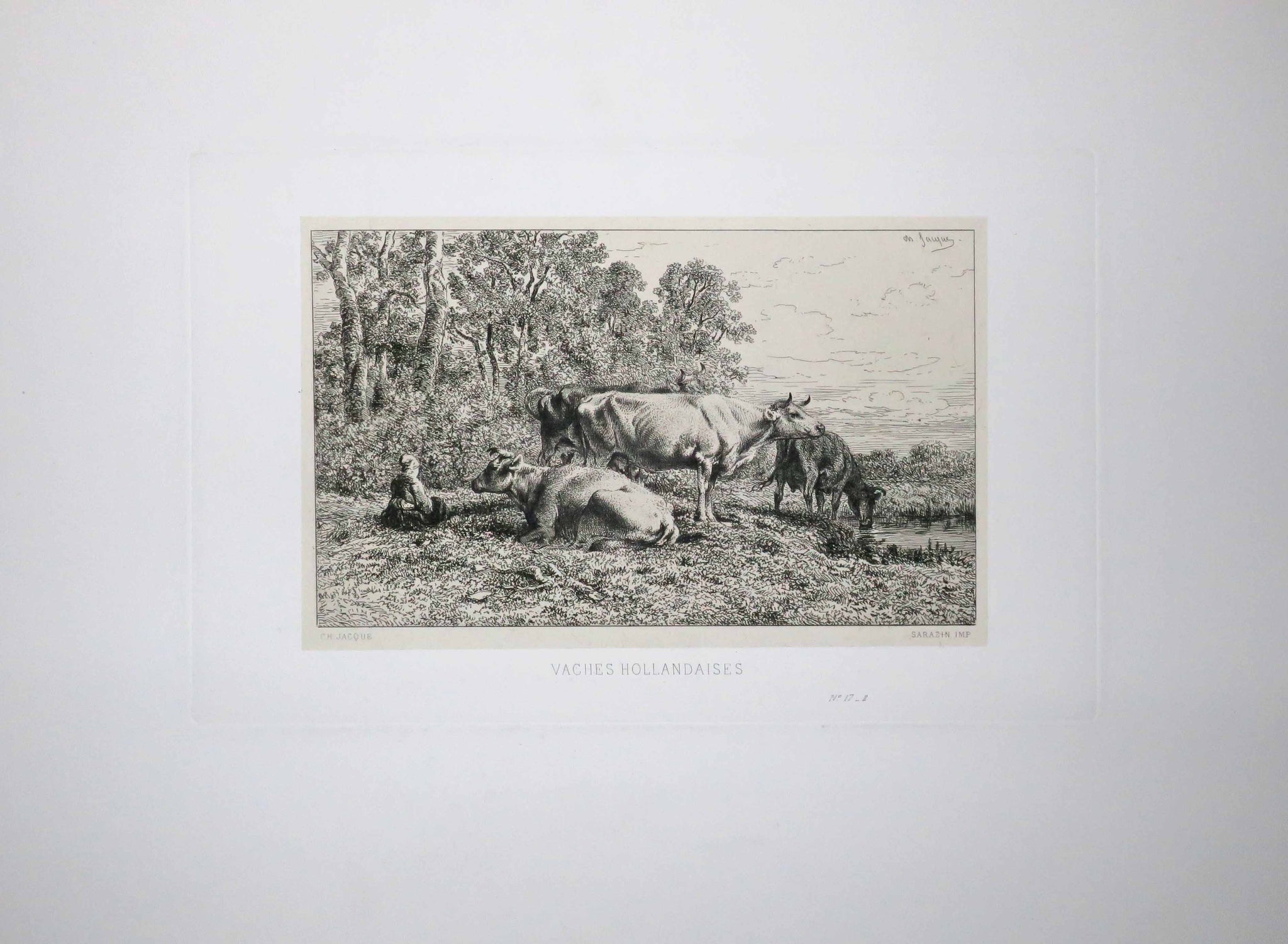 Vaches hollandaises.