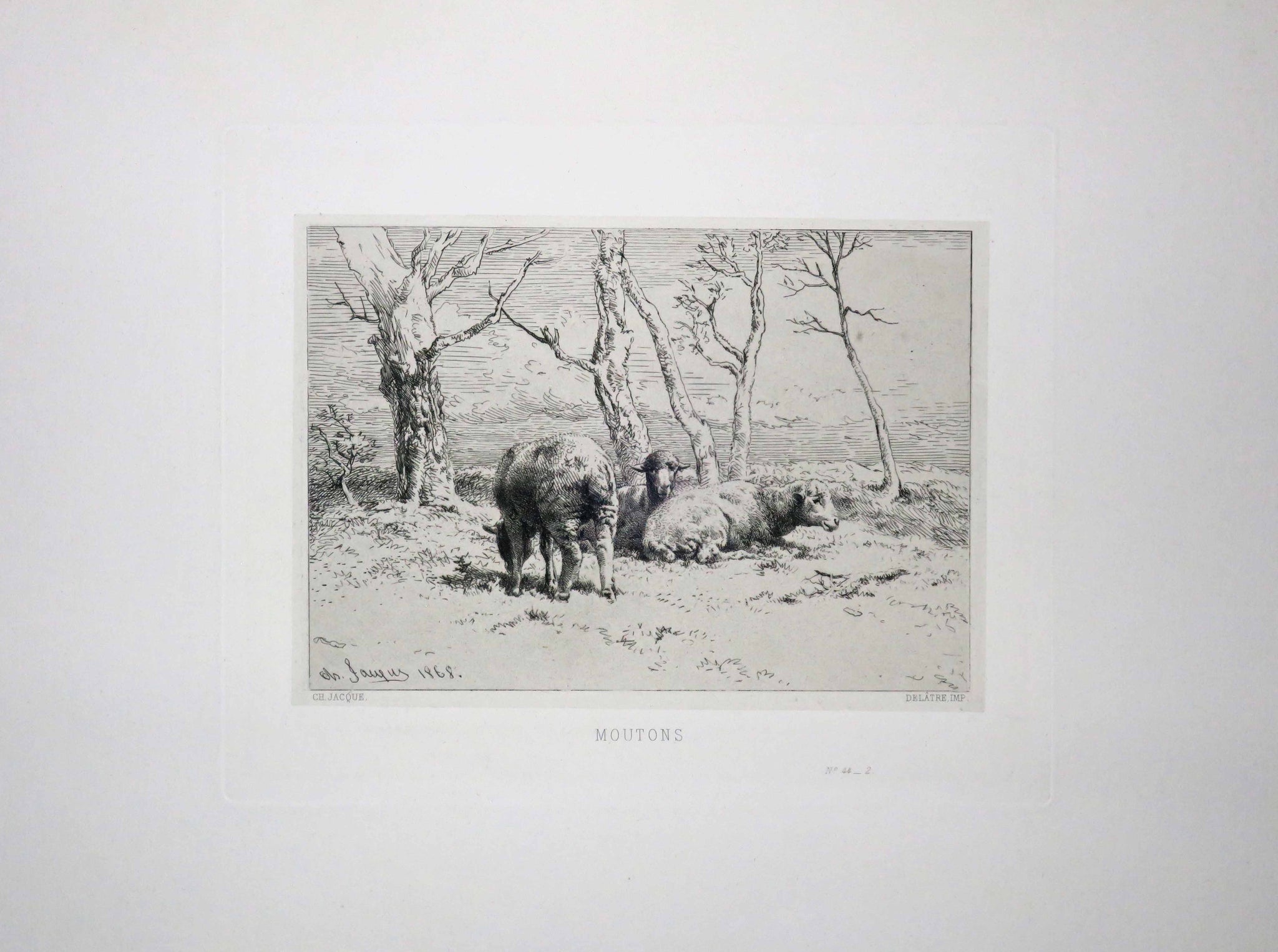 Moutons.