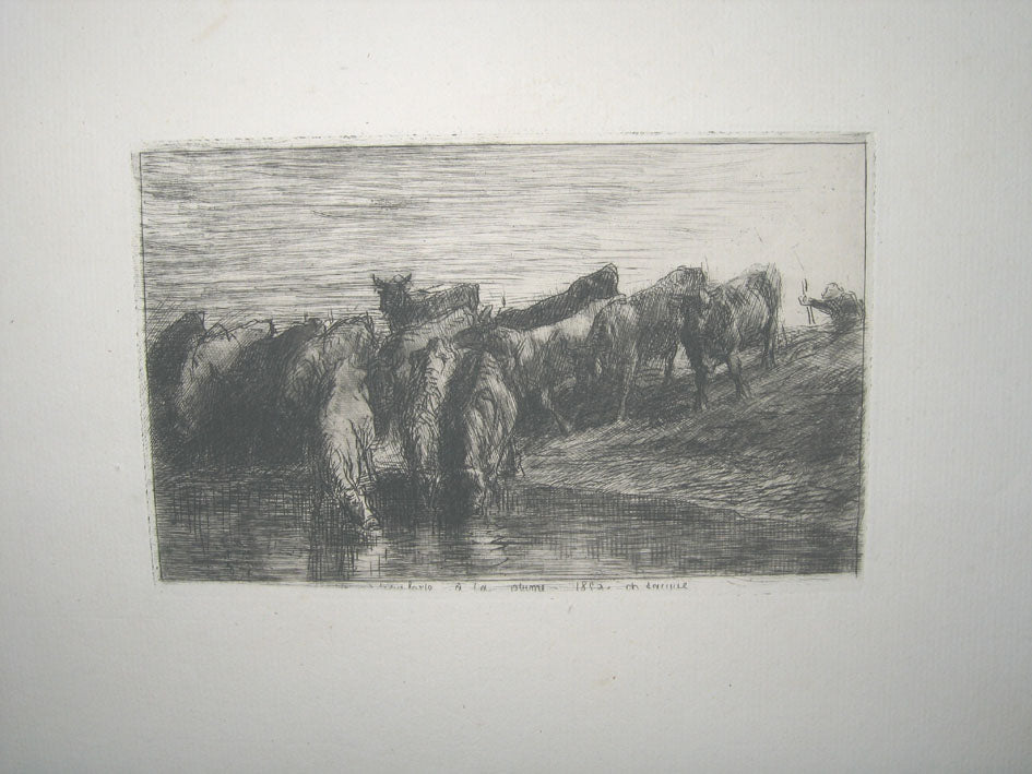 Troupeau de Vaches.