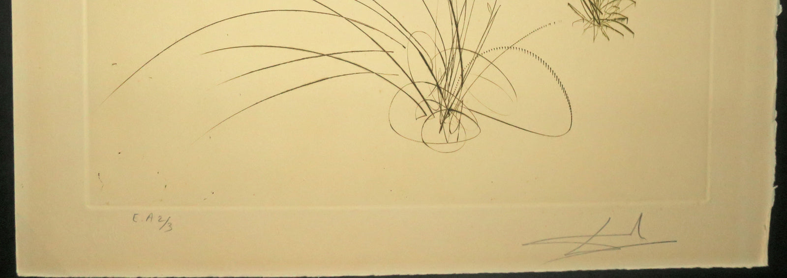 Frère Ogrin, l'ermite, Tristan et Iseult.