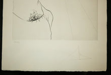 Charger l'image dans la galerie, Ernest Hemingway, Der Alte Mann und das Meer. Mit sechs illustrationen von Salvador Dali. 1974.