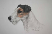 Charger l'image dans la galerie, Fox à poils durs.