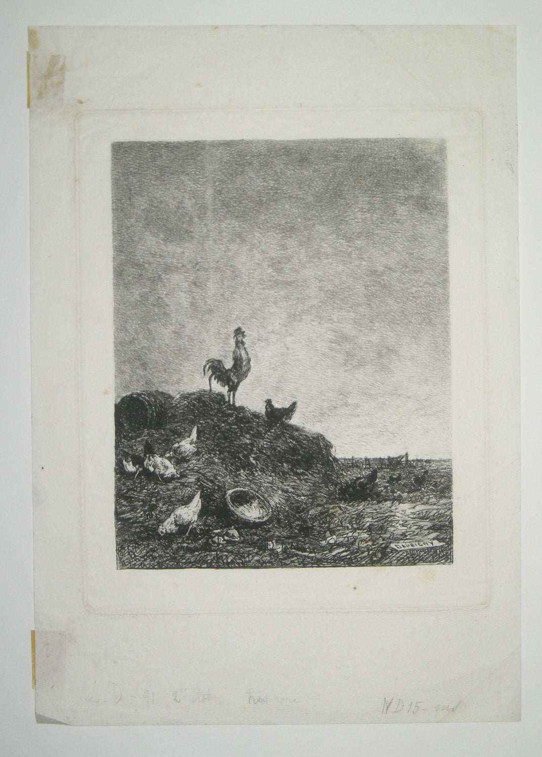L'Aurore (Le chant du coq).