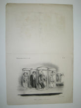 Charger l'image dans la galerie, Les Mannequins Politiques...