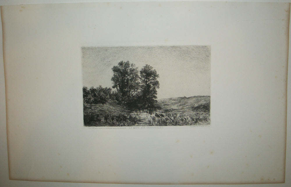 La mare aux grenouilles.