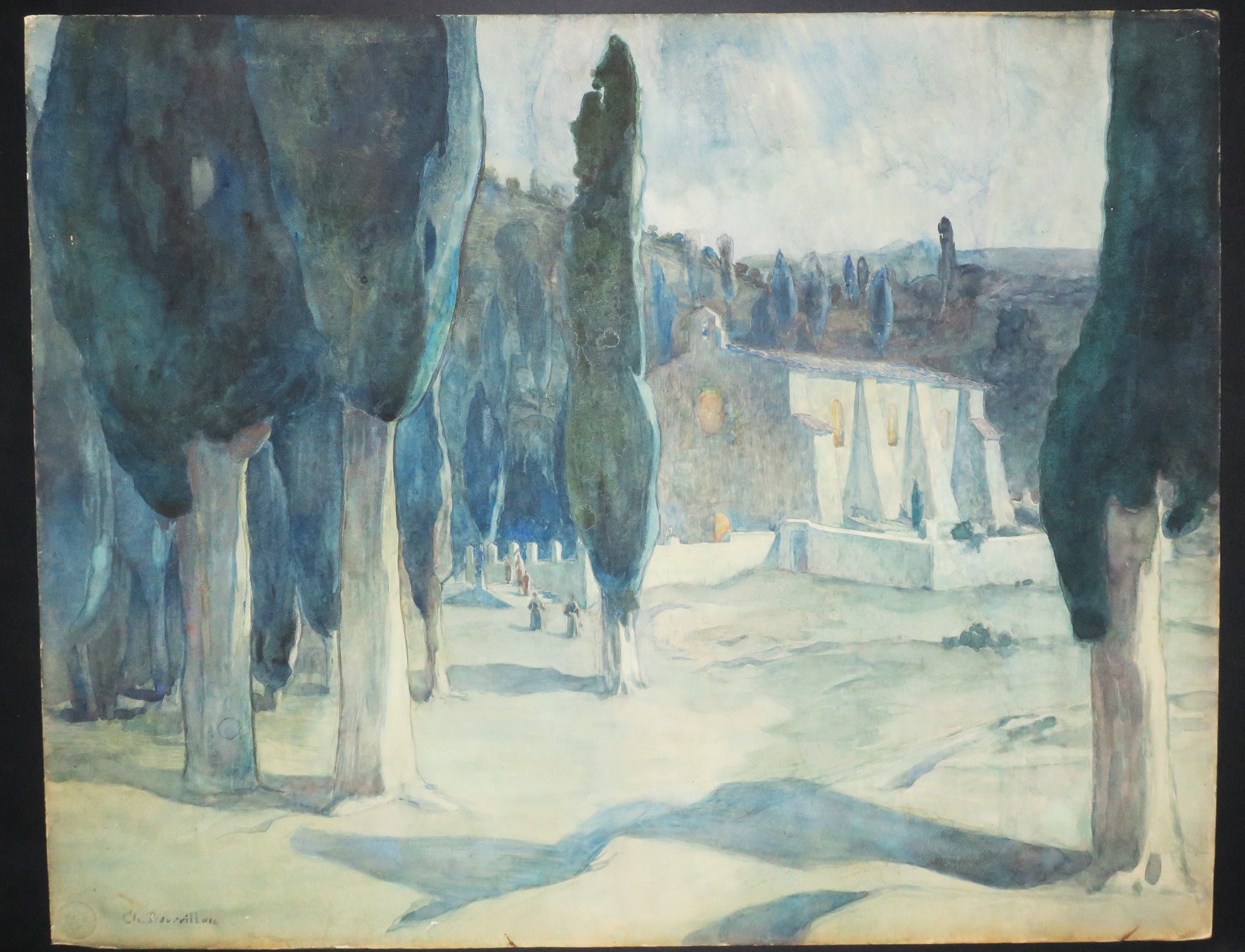 Les cyprès.